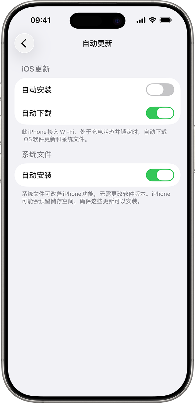 iPhone 软件更新里的自动更新页面,显示自动安装和自动下载开关位置