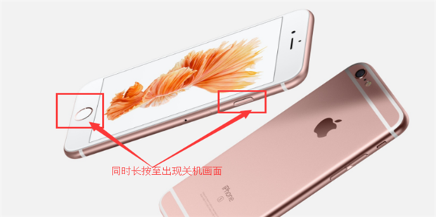 强制重启需长按电源键与音量减键组合,图中已标示操作按键 iPhone正面与背面展示,标注电源键与静音键位置 强制重启需长按电源键与音量减键组合,图中已标示操作按键