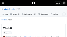 Echo 5.3 引入 QUERY 方法并调整 HEAD 路由
