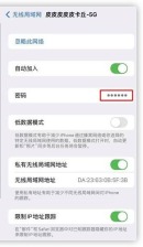 iPhone Wi-Fi 详情页面显示密码栏和拷贝提示