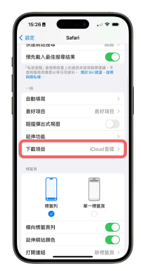 Safari 设置页中下载项入口被标出