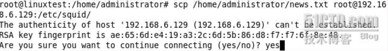 Linux命令--scp的使用