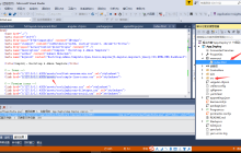 .Net Core + Angular Cli 实现开发环境搭建