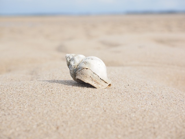 java如何执行shell命令