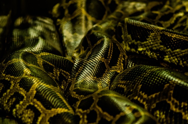 python前端框架有哪些