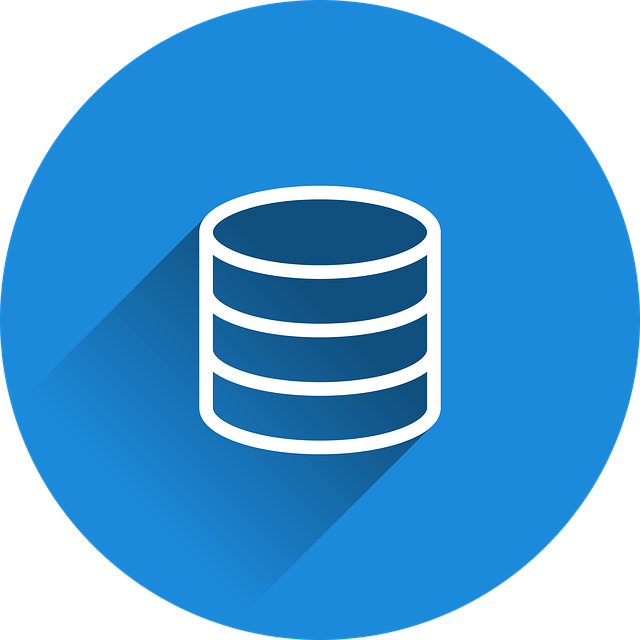 smallint在数据库中代表什么