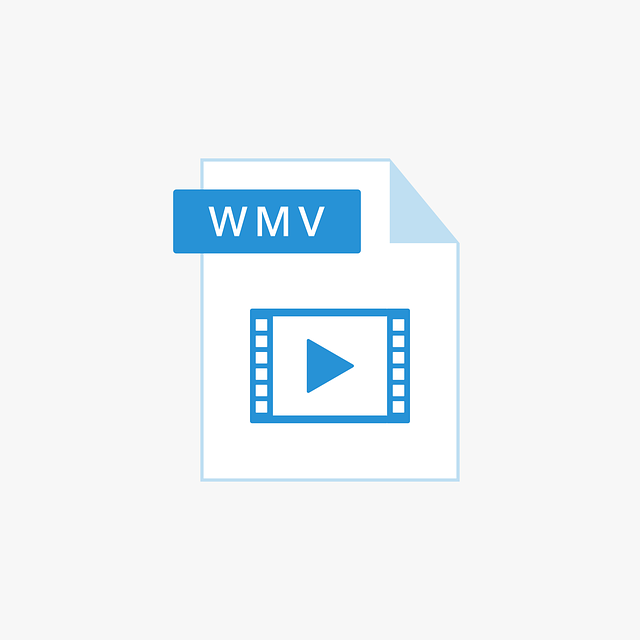 wmv是音频文件吗