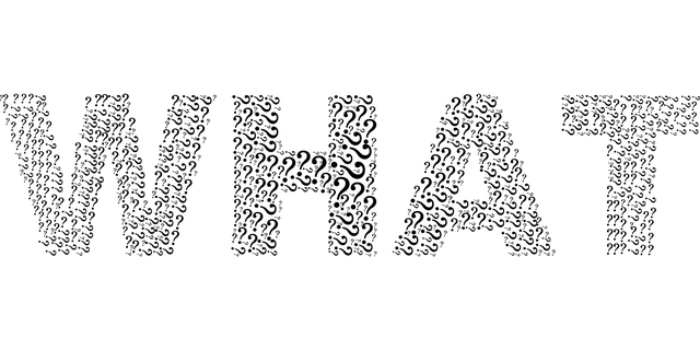 type-c扁圆形接口是什么样