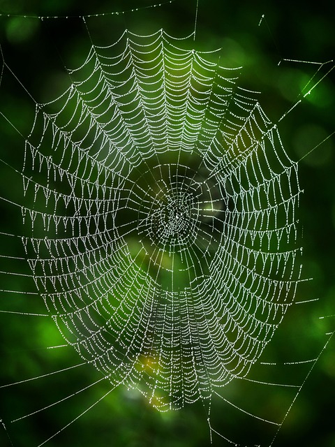 无线网卡多少钱一年