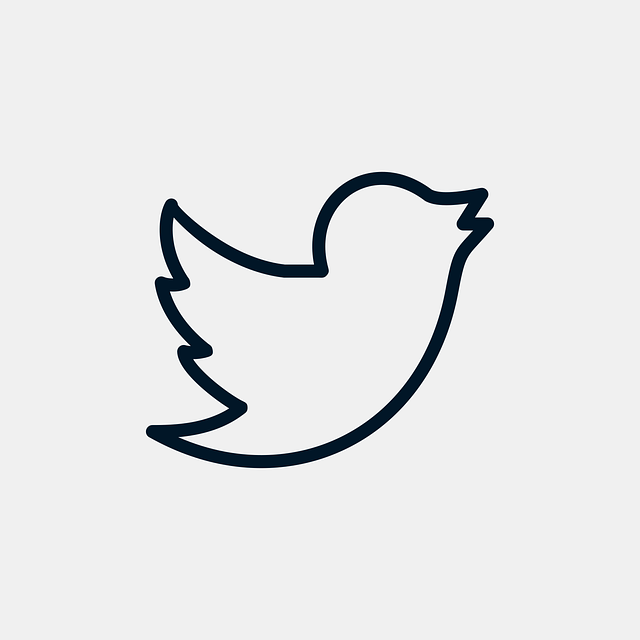 twitter认可的箱是哪种格式