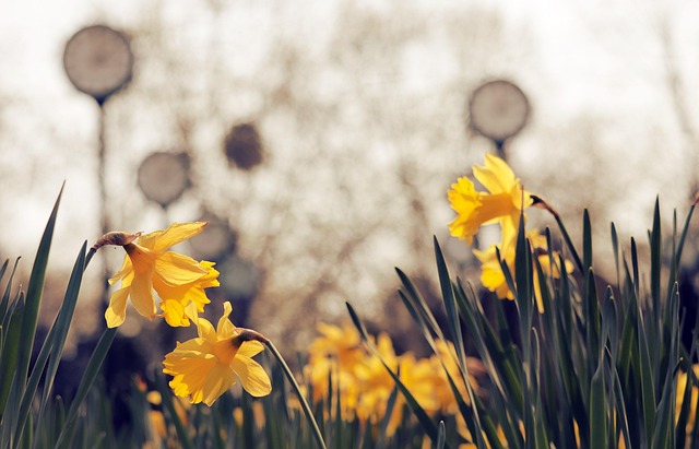 百度的实时热点怎么关闭