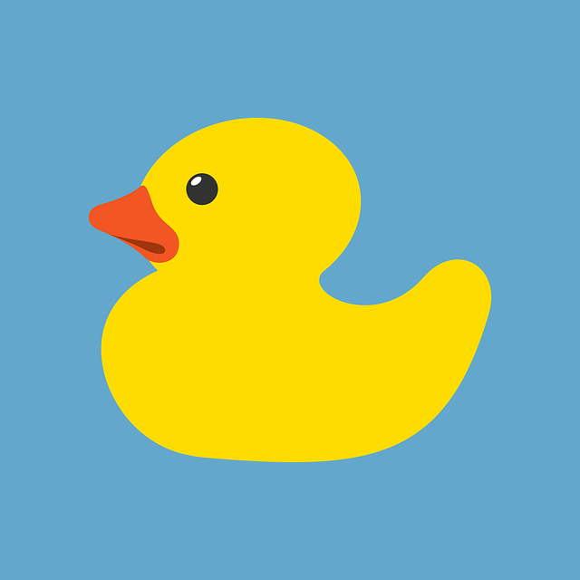 duck是什么意思