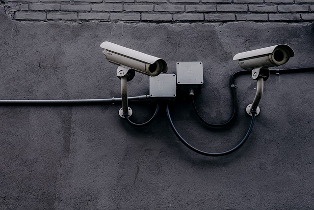cctv5在线直播观看最新入口