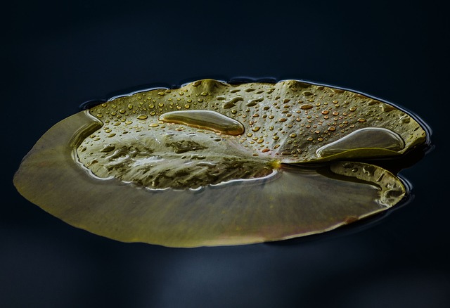 芯片上pad是什么意思