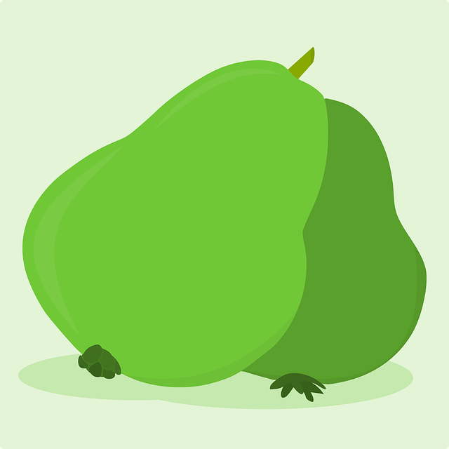 guava包是干嘛的