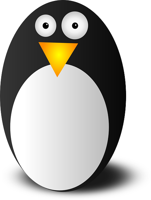 debian10和ubuntu20哪个好用