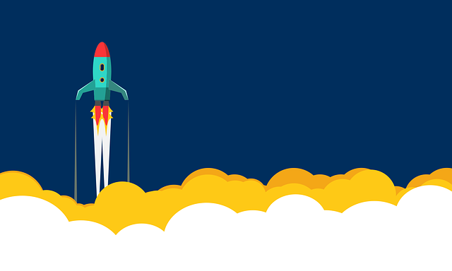 番茄小说推广直播怎么申请授权 推广授权需要交费吗