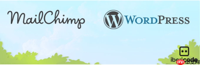2024 年 17 个最佳 WordPress Mailchimp 插件