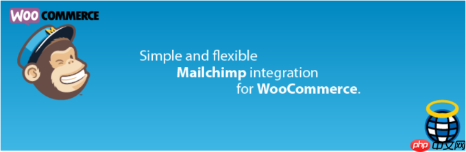2024 年 17 个最佳 WordPress Mailchimp 插件
