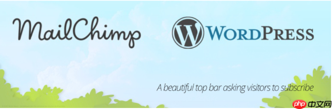 2024 年 17 个最佳 WordPress Mailchimp 插件