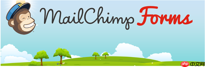 2024 年 17 个最佳 WordPress Mailchimp 插件