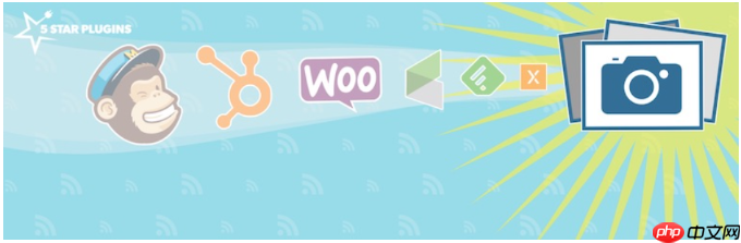 2024 年 17 个最佳 WordPress Mailchimp 插件