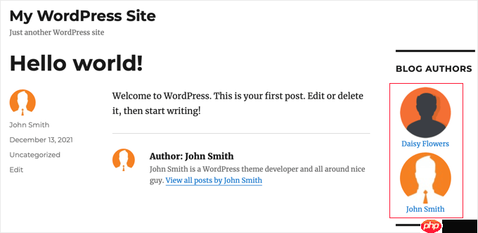 如何在 WordPress 中列出博客中的所有作者