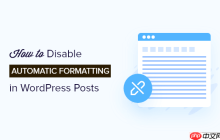 如何禁用 WordPress 帖子中的自动格式化