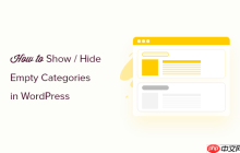 如何在 WordPress 中显示/隐藏类别（终极指南）