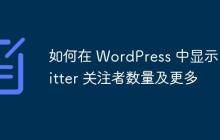 如何在 WordPress 中显示 Twitter 关注者数量及更多