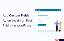 如何在 WordPress 中发布帖子时自动添加自定义字段