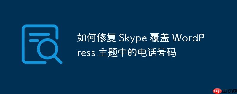 如何修复 skype 覆盖 wordpress 主题中的电话号码