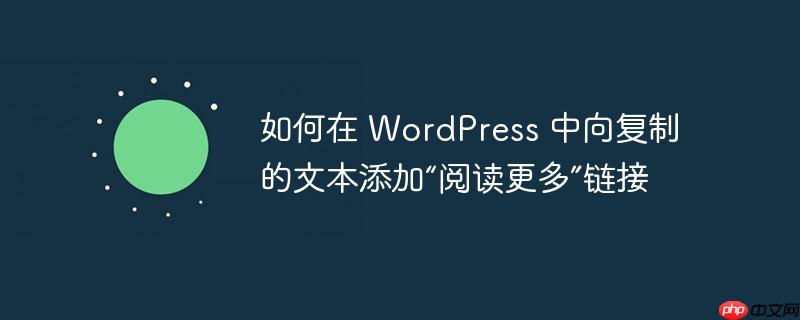 如何在 wordpress 中向复制的文本添加“阅读更多”链接
