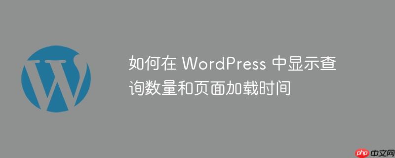 如何在 wordpress 中显示查询数量和页面加载时间