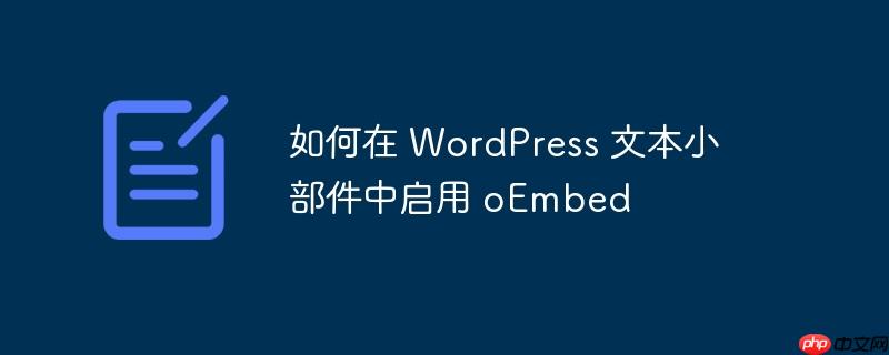 如何在 wordpress 文本小部件中启用 oembed
