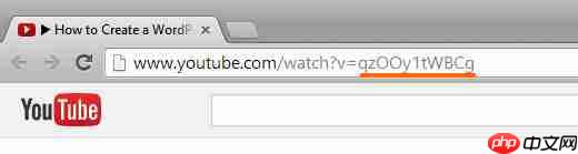 如何在 WordPress 中的 YouTube 视频上添加共享按钮作为叠加层