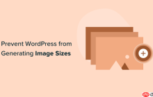 如何防止 WordPress 生成图像尺寸