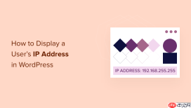 如何在 WordPress 中显示用户的 IP 地址