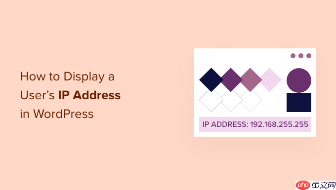 如何在 WordPress 中显示用户的 IP 地址