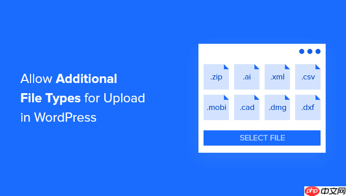 如何在 WordPress 中添加要上传的其他文件类型