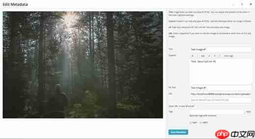 如何在 WordPress 中从 NextGEN 切换到 Envira Gallery