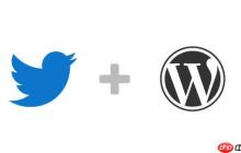 10 个最受欢迎的 Twitter 黑客和 WordPress 插件
