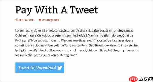 10 个最受欢迎的 Twitter 黑客和 WordPress 插件