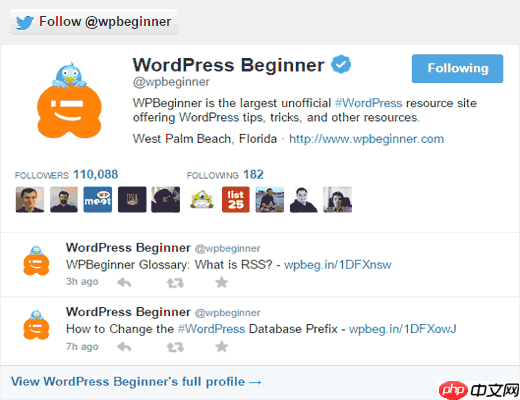 10 个最受欢迎的 Twitter 黑客和 WordPress 插件