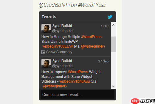 10 个最受欢迎的 Twitter 黑客和 WordPress 插件