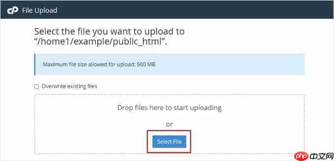 如何向您的 WordPress 博客添加网站图标（简单方法）