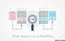 如何轻松查找和替换 WordPress 数据库中的文本