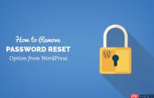 如何从 WordPress 中删除密码重置/更改选项