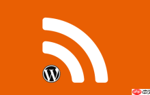 如何在 WordPress 中仅向 RSS 订阅者显示内容