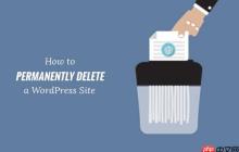 如何从互联网上永久删除 WordPress 网站